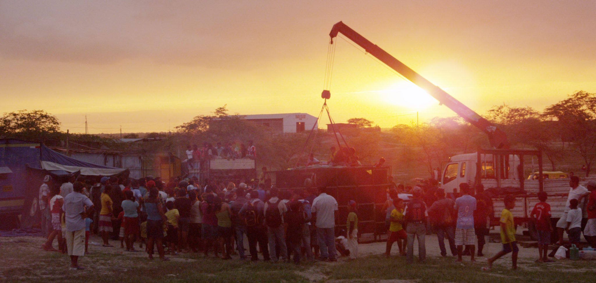 A crane lifts Mustafa's cage onto a truck at the end of a long, tense day.