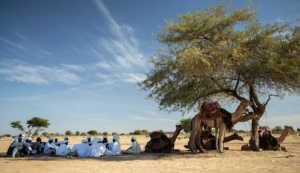 Arab tribesmen holding a weekly meeting, South Darfur.