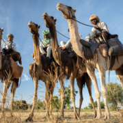 Young nomads on camelback. South Darfur, Sudan.