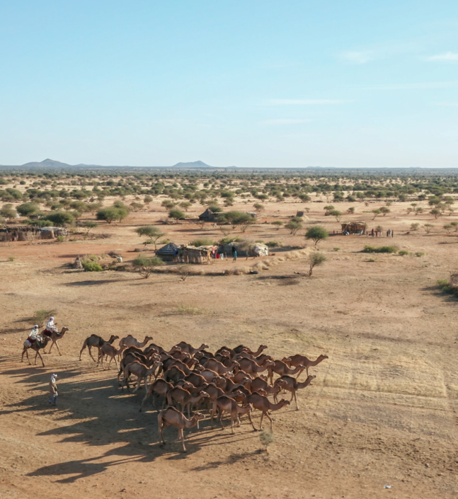 Rezeigat nomads on the move. Near Nyala, Darfur.