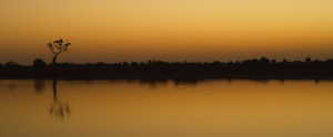 Dawn at the waterhole, Darfur Sudan.