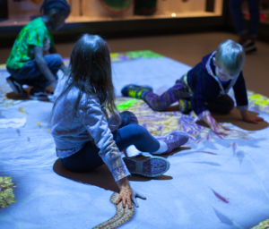 An interactive floor projection at the Horniman Museum